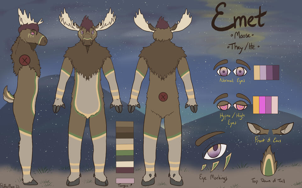 Reference Sheet (Will only be two view)