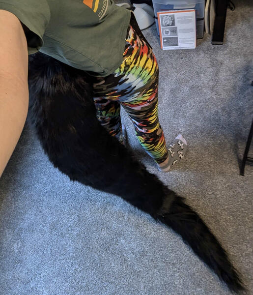 Floor Tail Floor Tail