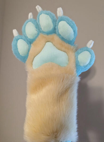 Hand Paws Hand Paws